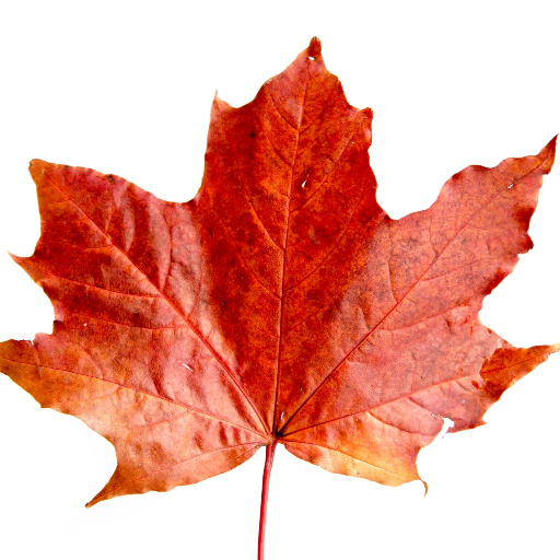 Giovanni's Community logo